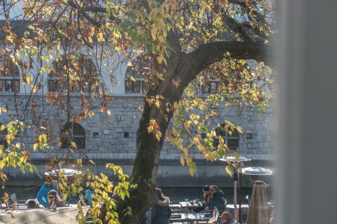 Apartment River View *